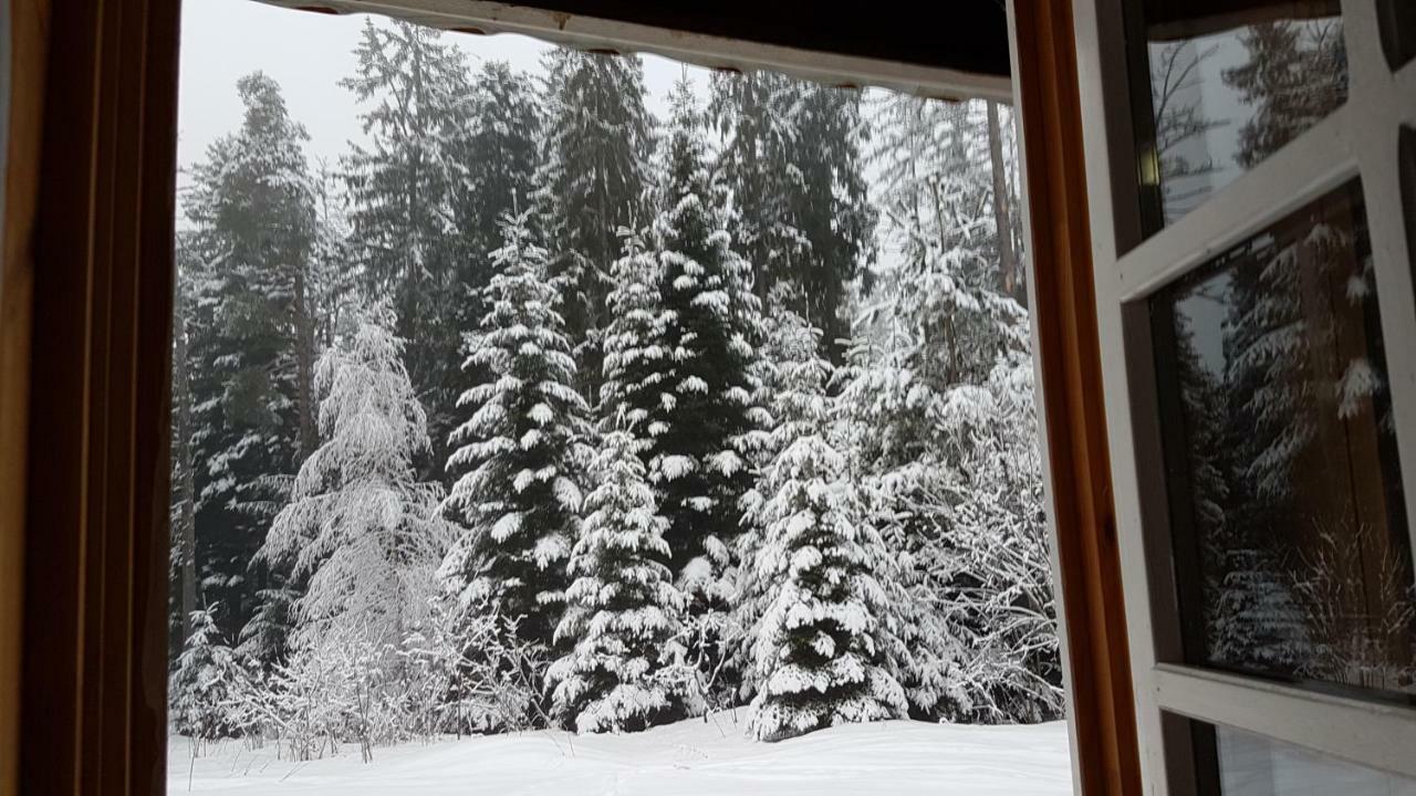 Chalet Taffski Borovec Kültér fotó